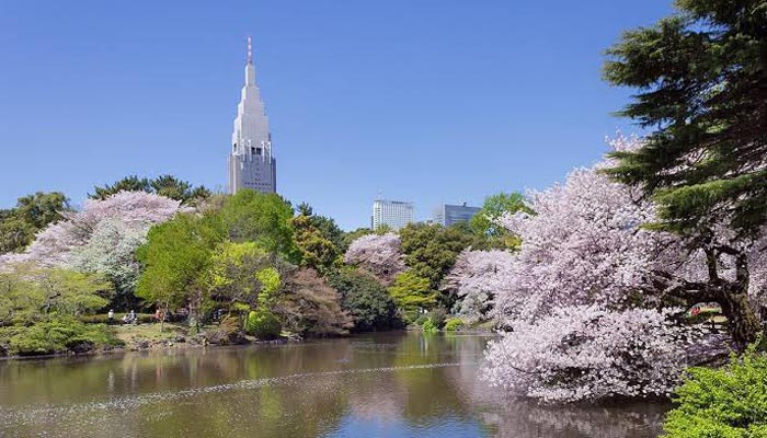 【都内で森林浴】新宿御苑は新宿で緑を味わえる癒やしの公園